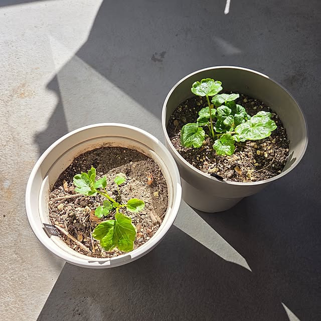 MARIE.color.interiorさんの部屋