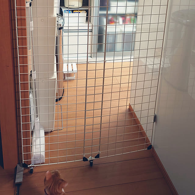 noguriさんの実例写真