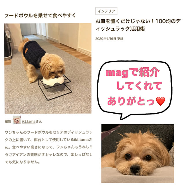 ikt.tamaさんの実例写真