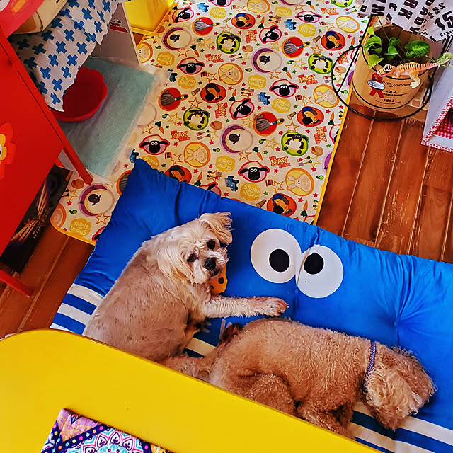 kumutanさんの実例写真