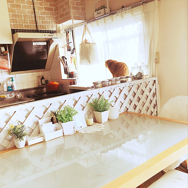 mikitty0905さんの実例写真