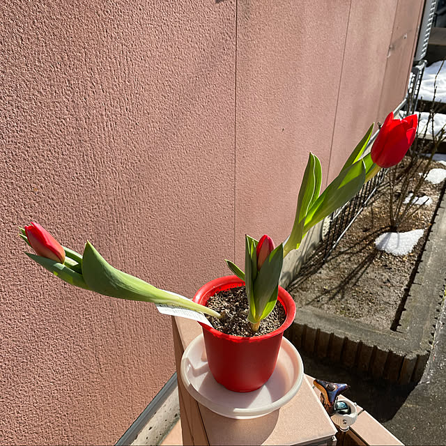 kakoさんの実例写真