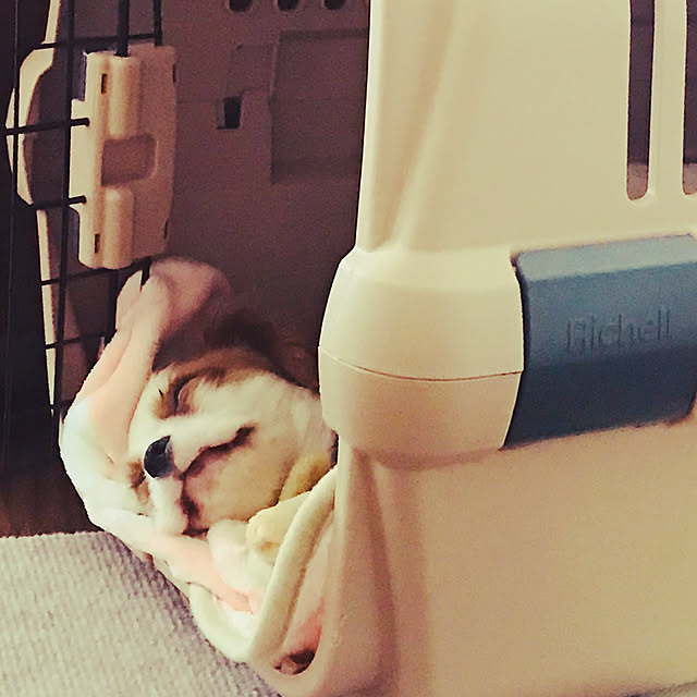 Ran.Happyさんの実例写真