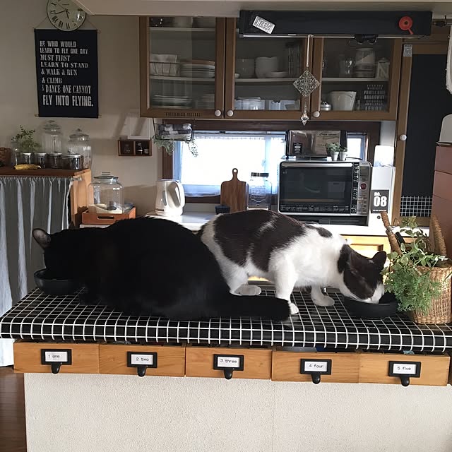 mahi1101さんの実例写真