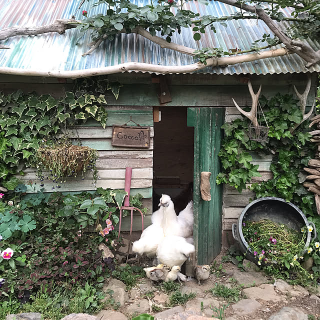 pepeさんの実例写真