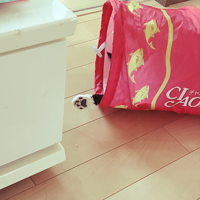 nekoさんの実例写真
