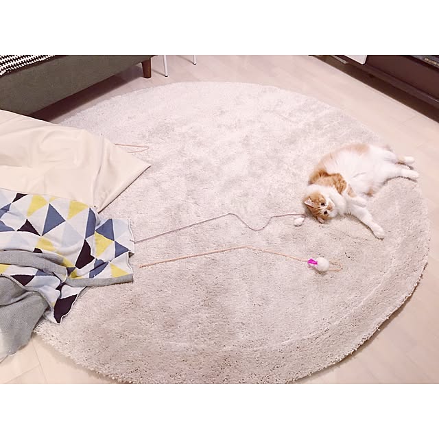 Reikoさんの実例写真