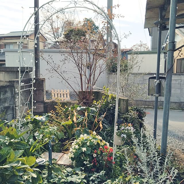 実例写真