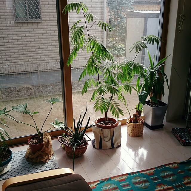 urchinさんの実例写真