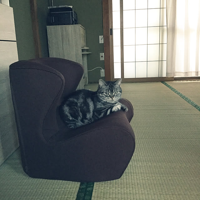 richanさんの実例写真