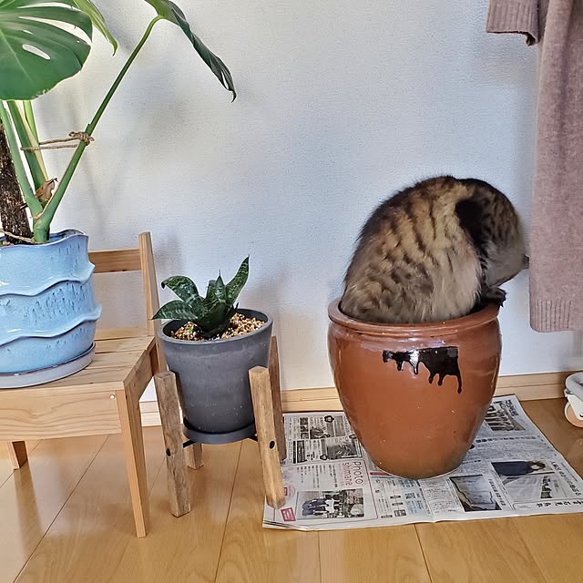 makoさんの部屋