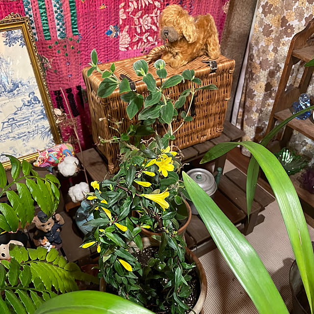 shin0719さんの実例写真