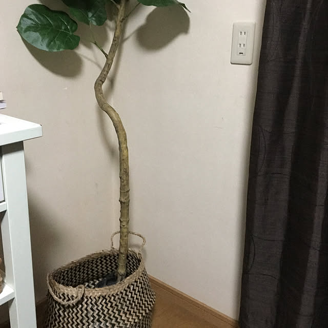SUMMERさんの実例写真