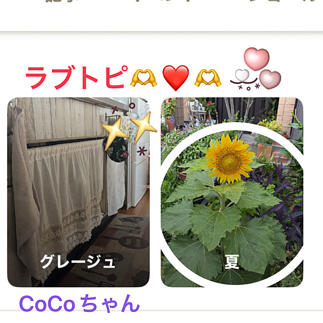 ritsukoさんの実例写真
