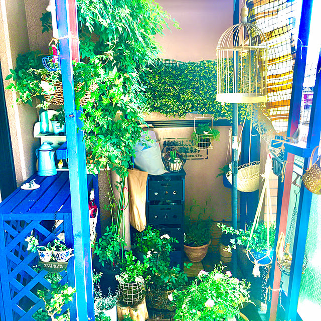 naokoさんの部屋