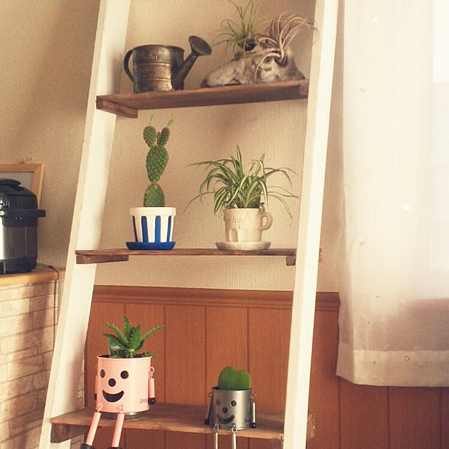 ikkiさんの実例写真
