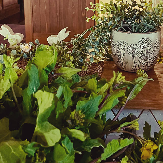 cotaさんの部屋
