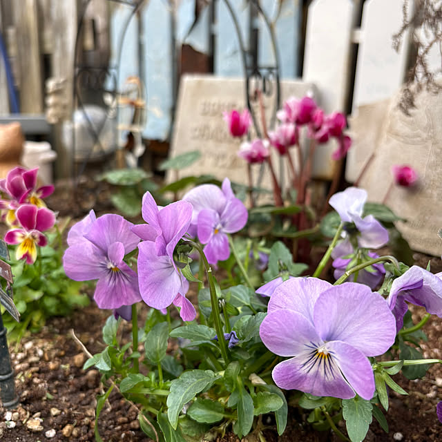 erinanさんの部屋