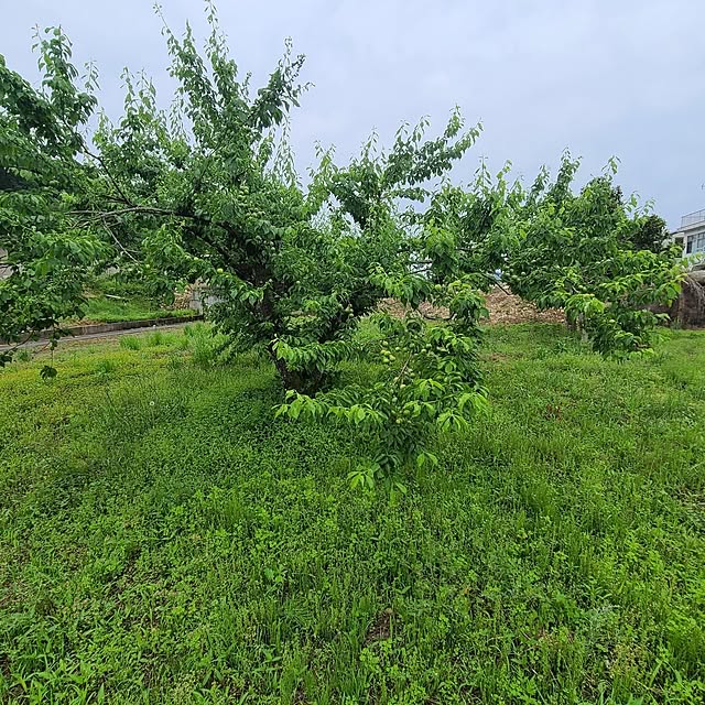 Rubiconさんの部屋