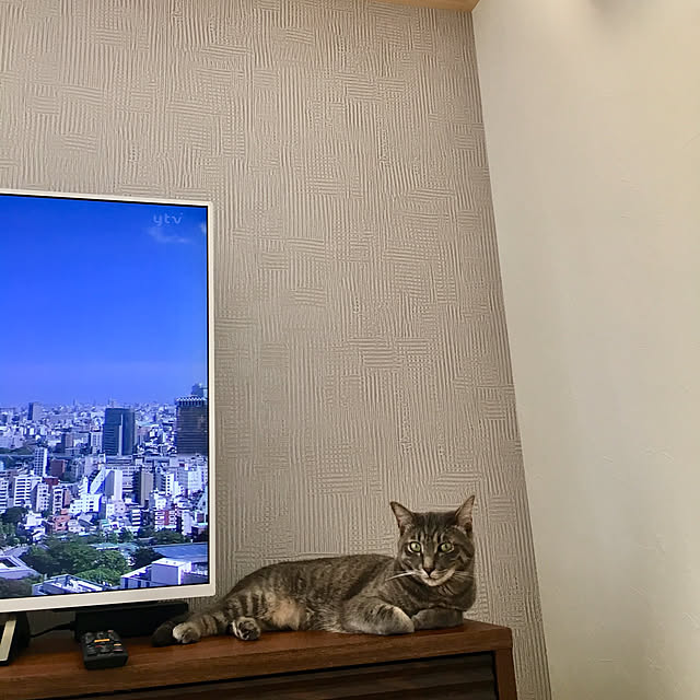 kichiさんの実例写真