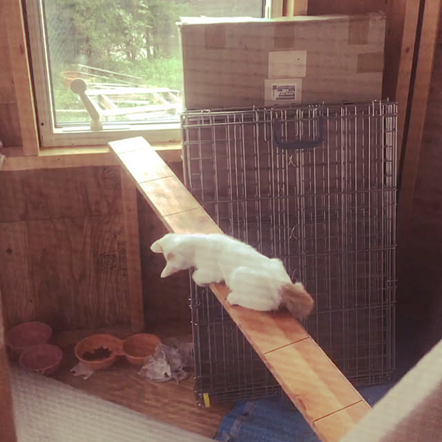 klaroomさんの実例写真