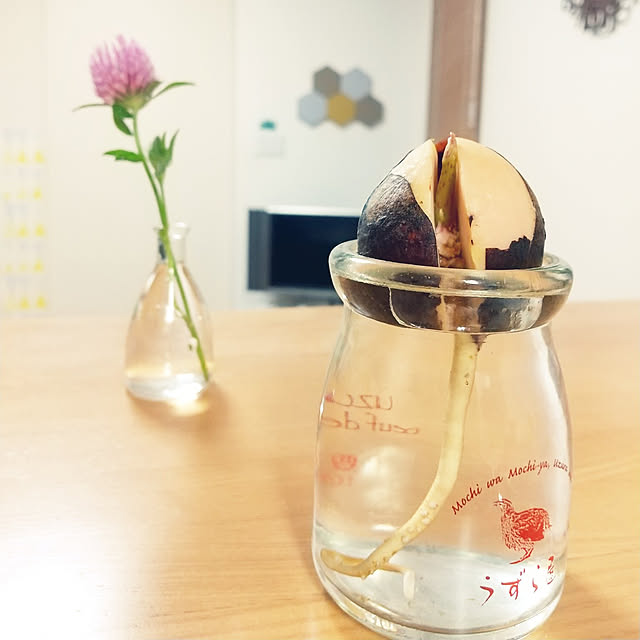 iku-yoneさんの実例写真