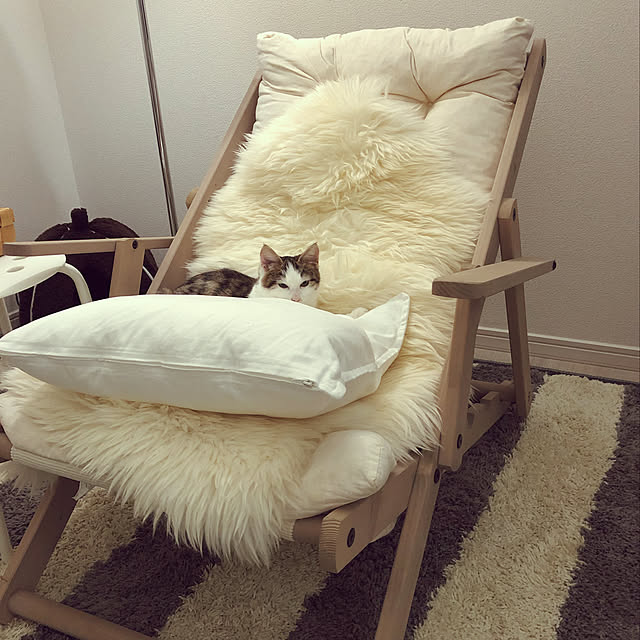 w_fox0713さんの実例写真