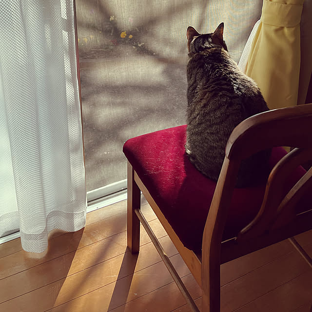 mikan161さんの実例写真