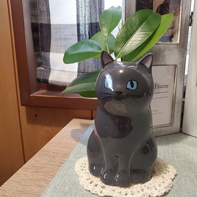 maoshinさんの実例写真