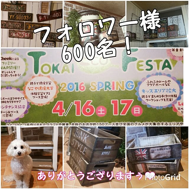 riesanchiさんの実例写真