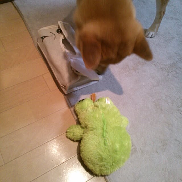kotaさんの実例写真