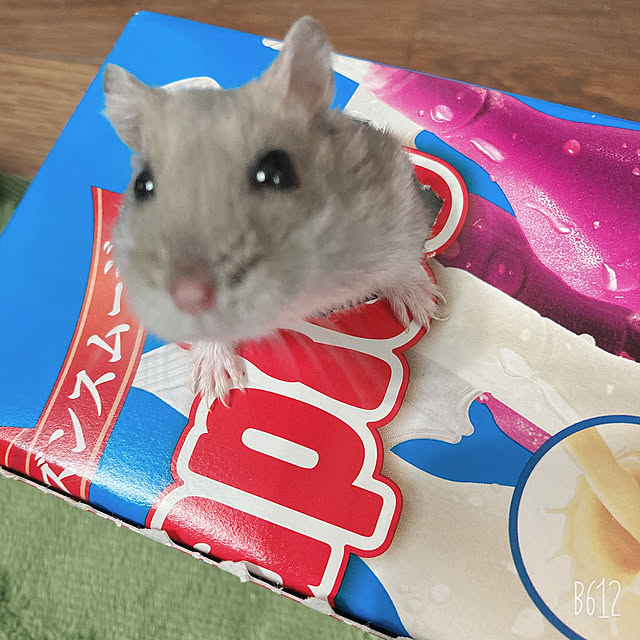milkさんの実例写真