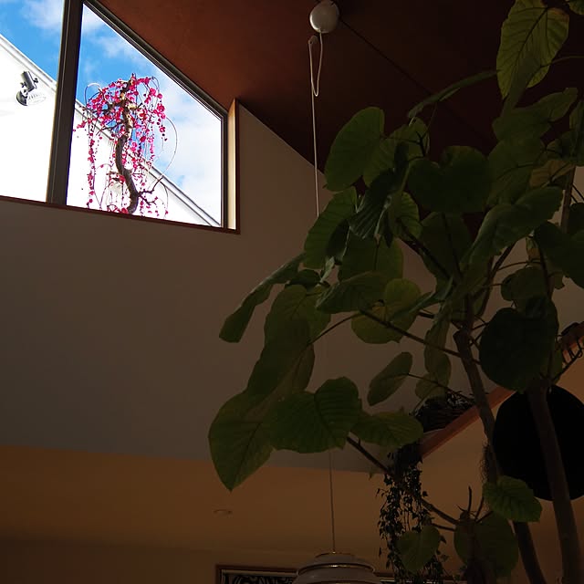 hokusou1000さんの実例写真