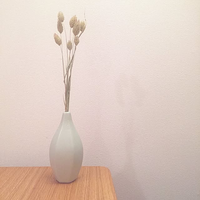 iwanaさんの実例写真