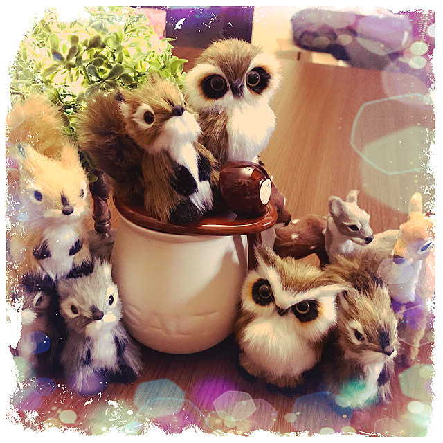 jamberryさんの実例写真