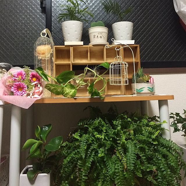 yu_koさんの実例写真