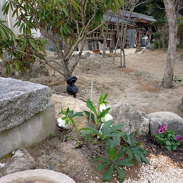 rocknさんの実例写真