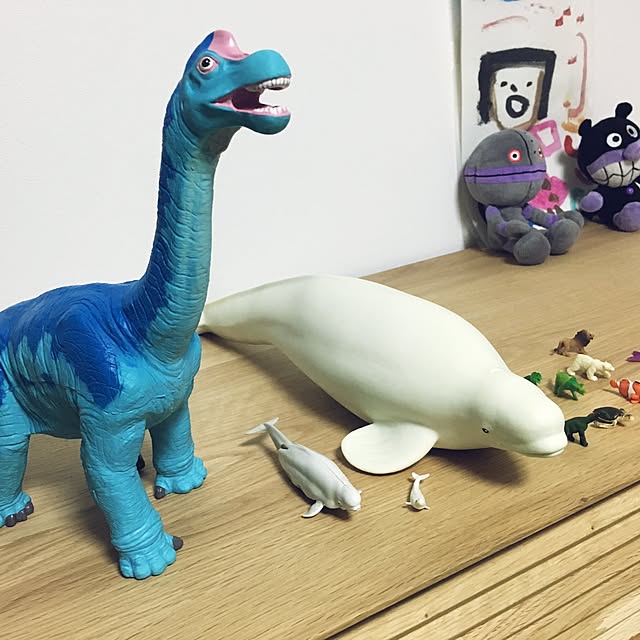 azukiaraiさんの部屋