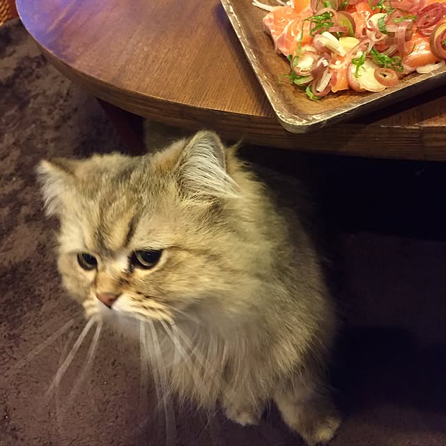 butachanさんの実例写真