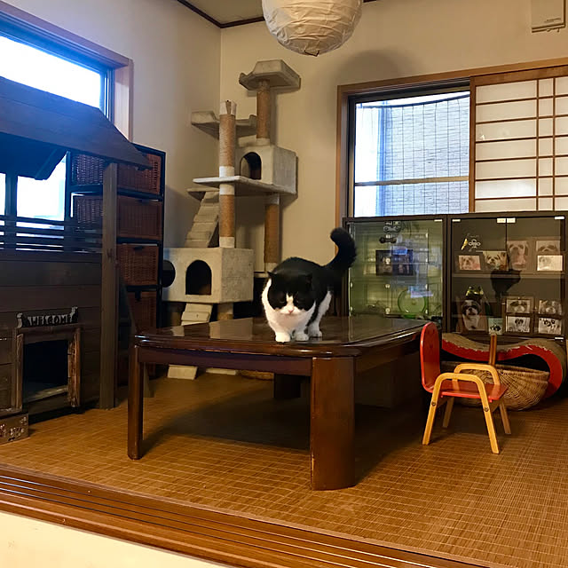 butachanさんの実例写真