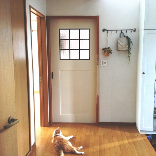 Kinanさんの実例写真