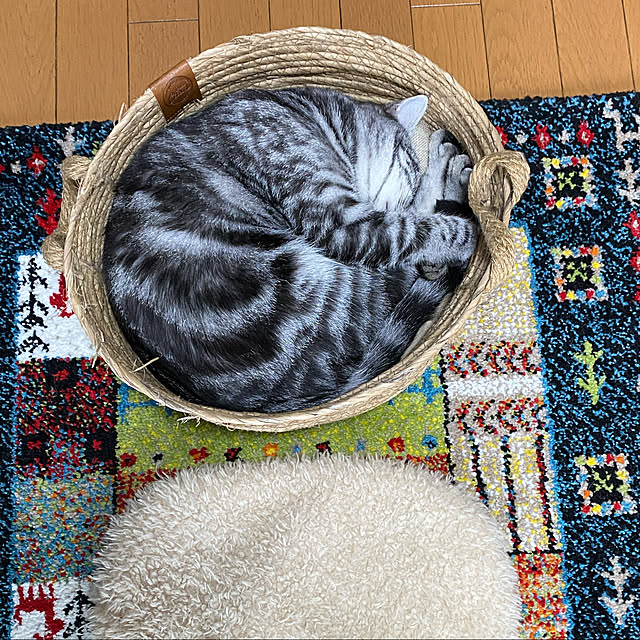 yuzuaoさんの実例写真