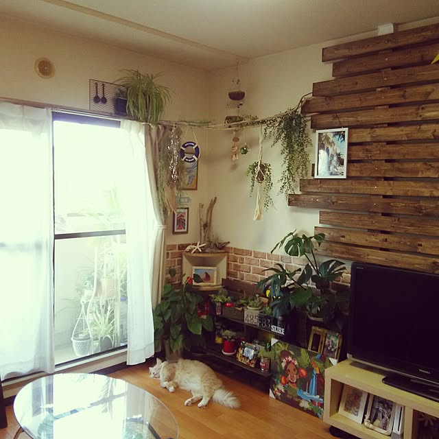 koto.ohanaさんの実例写真