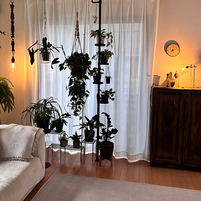 greycatsさんの部屋