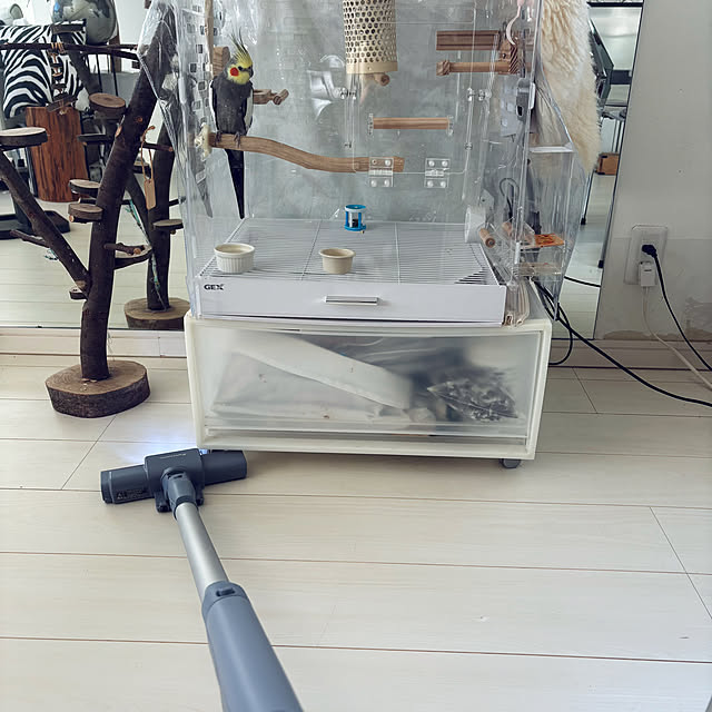 Tinoさんの実例写真