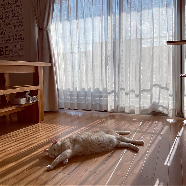 hiyupan88さんの実例写真