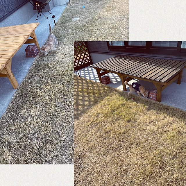 seiさんの実例写真