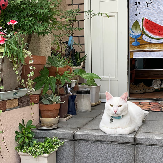 moyuhiさんの実例写真