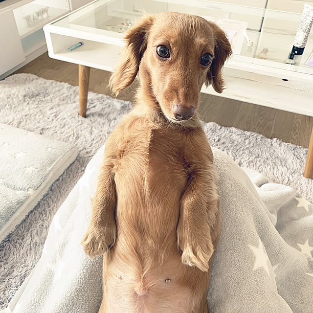 rikoさんの実例写真