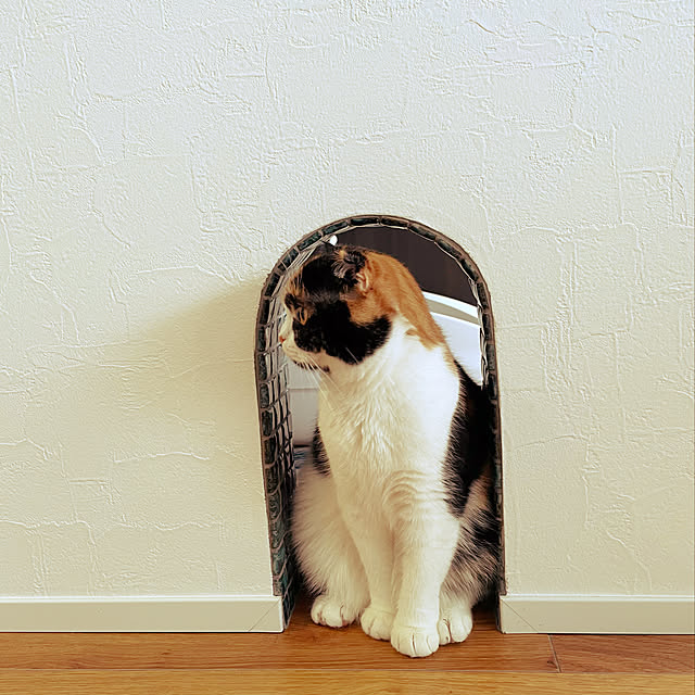 keiさんの実例写真